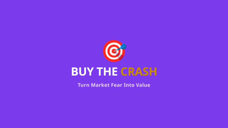 Fundamental Investors Market Crashes Cover - Using Fear to Buy Strong Companies